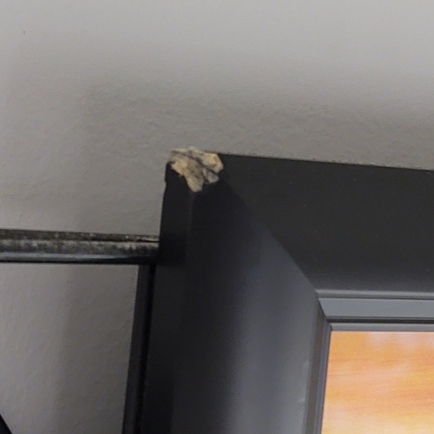 Autographed Peter Max 2000 Kentucky Derby Framed Poster