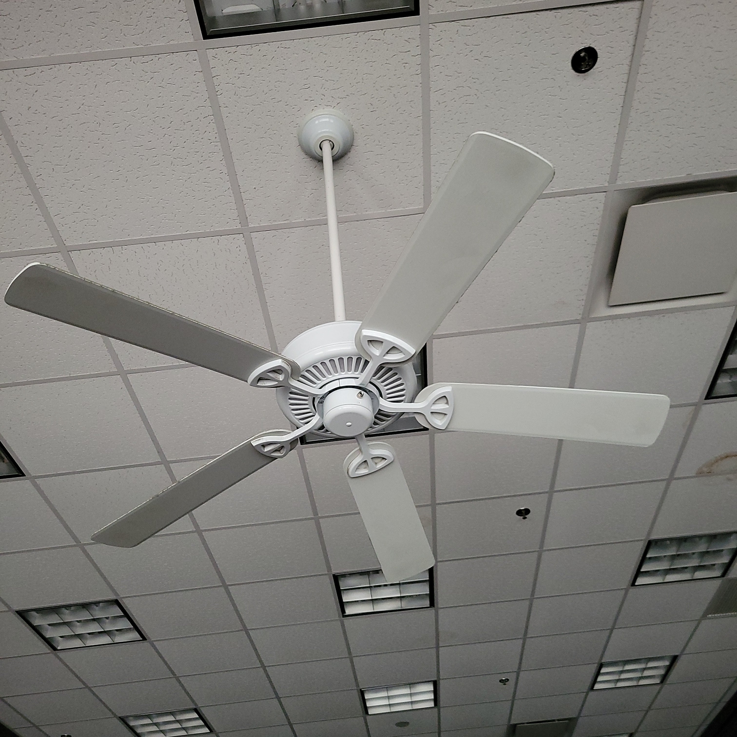 Orpat AIR Fusion (Ivory) 600mm Ceiling Fan