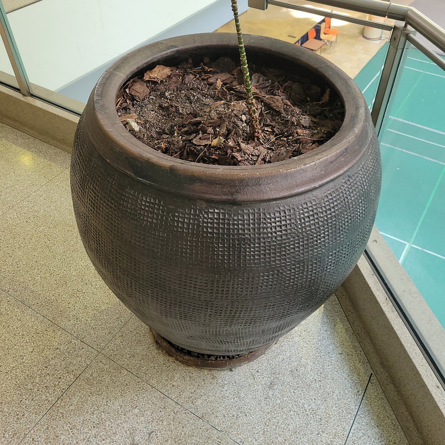 Large Stone Flower Pot Tall