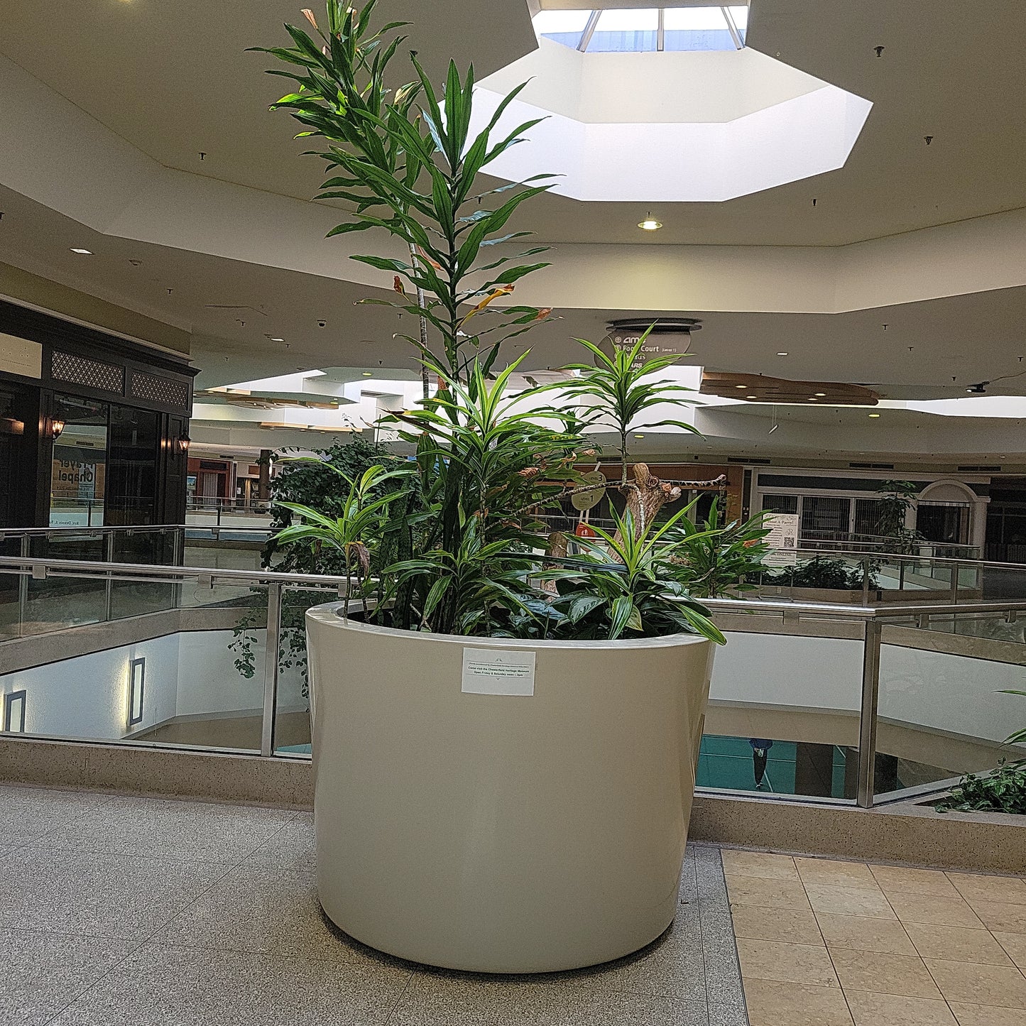 Huge Flower Pot with Foliage