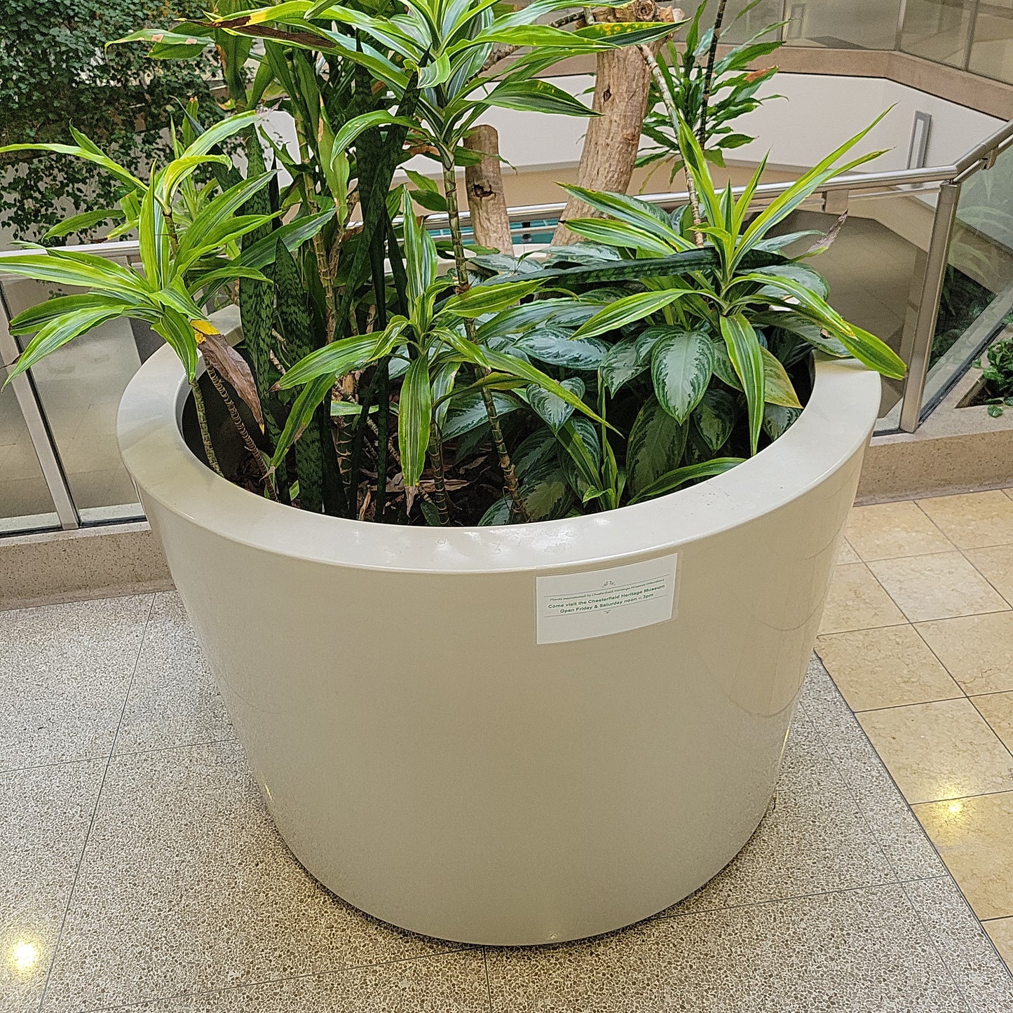 Huge Flower Pot with Foliage
