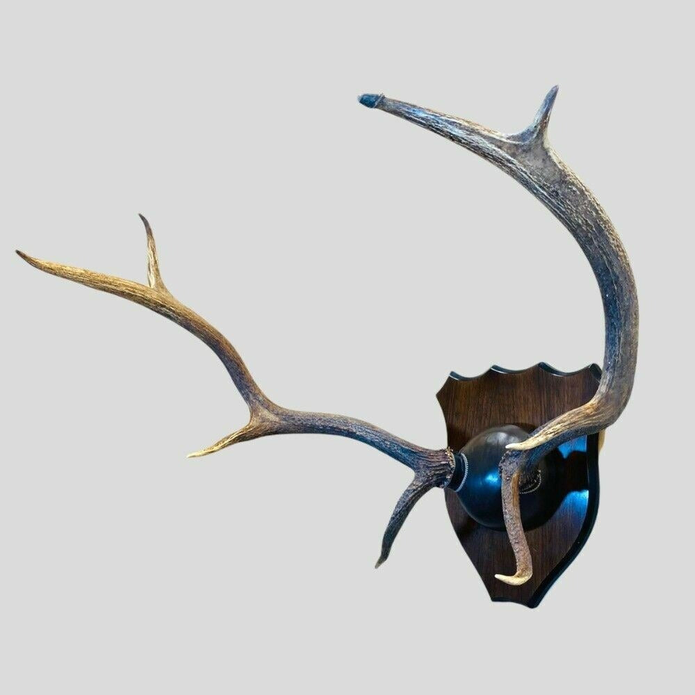 Large Real Natural Elk Antlers Leather Mounted Walnut Plaque Taxidermy Cabin