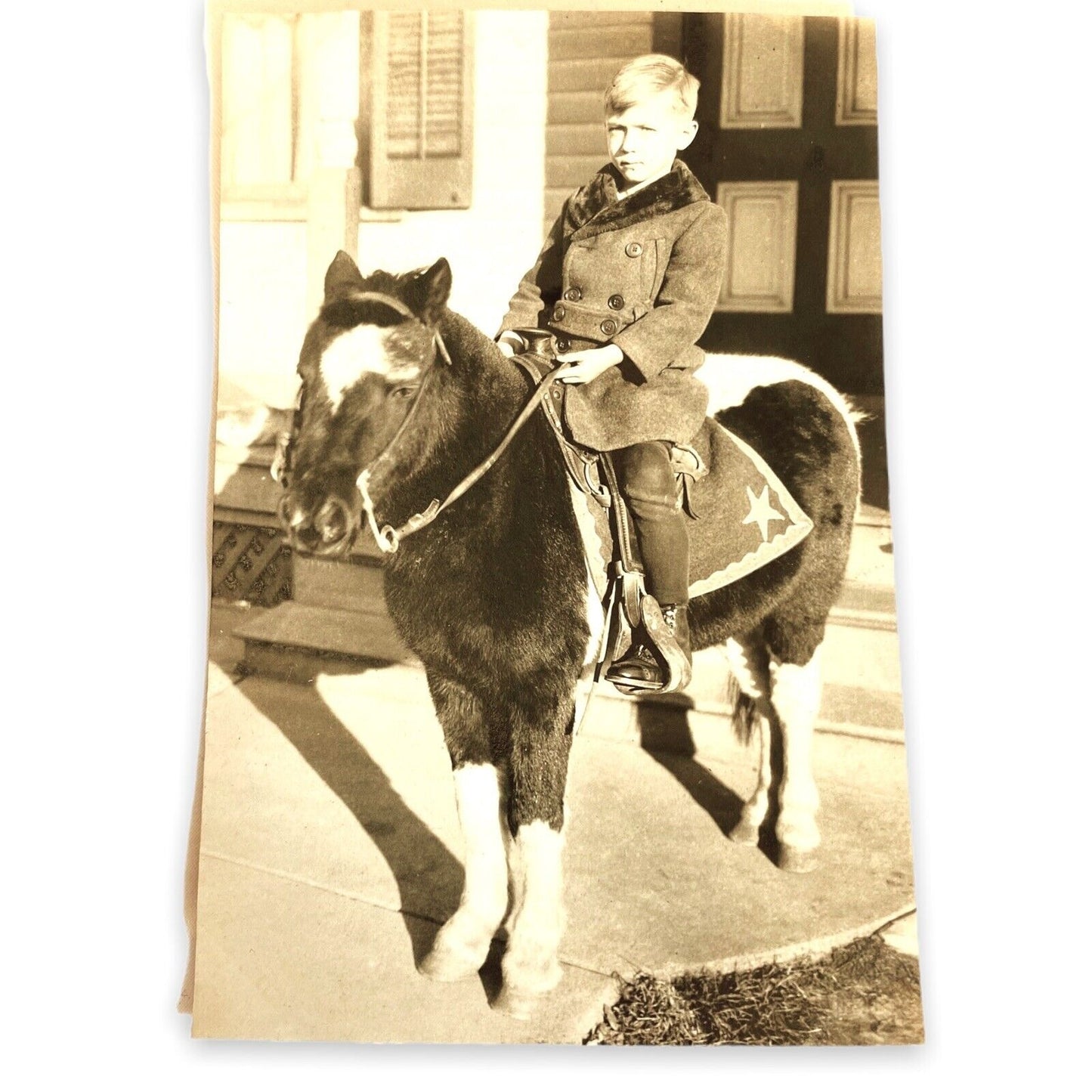 Vintage Photo of Affluent Boy on Pinto Pony in Cardboard Cover RPPC 3x4.5"