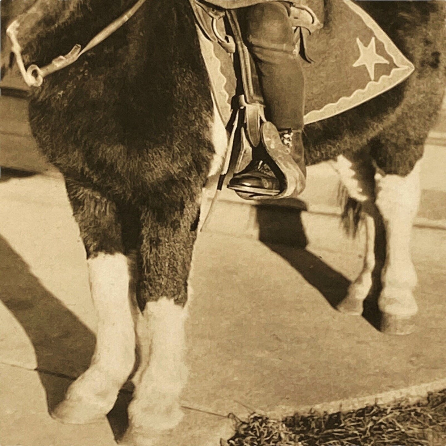 Vintage Photo of Affluent Boy on Pinto Pony in Cardboard Cover RPPC 3x4.5"