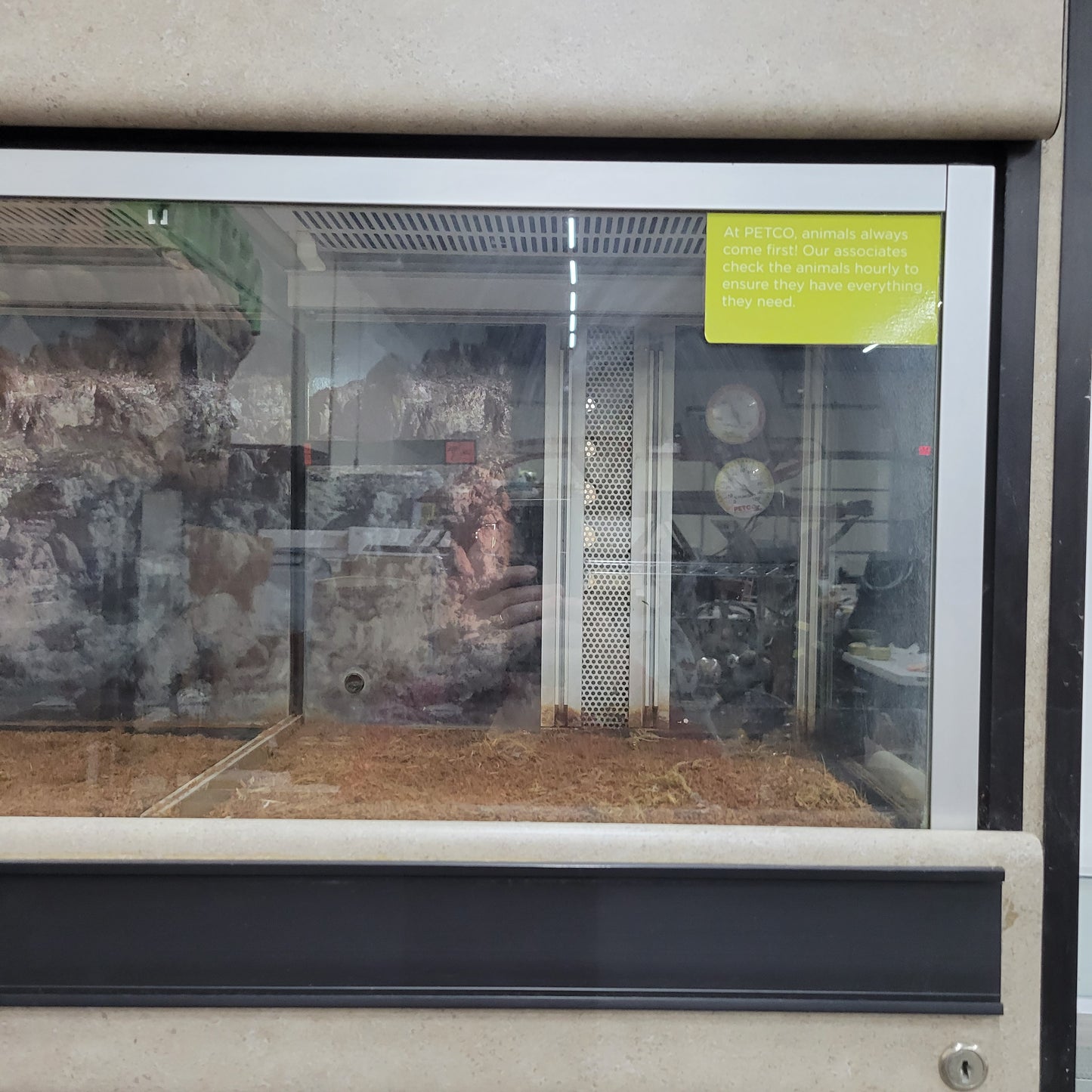 Commercial Reptile Terrarium Enclosure