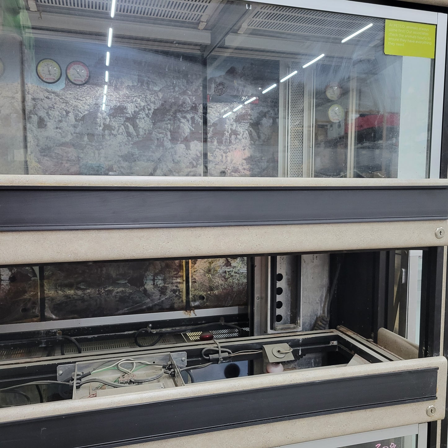 Commercial Reptile Terrarium Enclosure